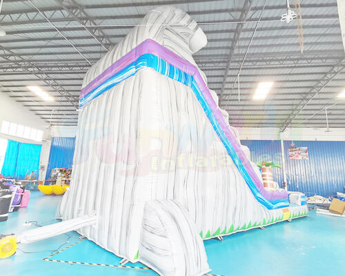 Multi Color 0.55mm PVC Outdoor Inflatable Water Slides