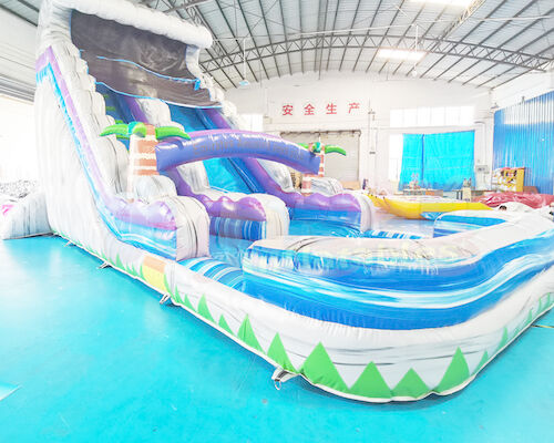 Multi Color 0.55mm PVC Outdoor Inflatable Water Slides