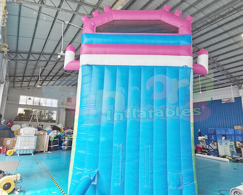 Children Commercial Inflatable Slide Playground Bouncy Castle