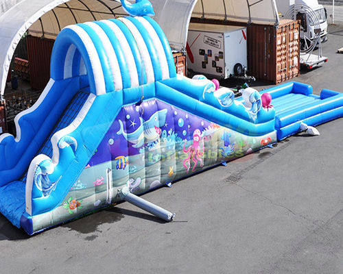 EN71 Child Outdoor Inflatable Water Slides With Pool Jumping Bounce House