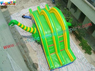 Cute Dragon Commercial Inflatable Water , Inflatable Slide Slip Toys