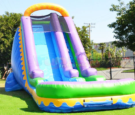 Custom Outdoor Inflatable Water Slides Kids Play Bouncy Castles