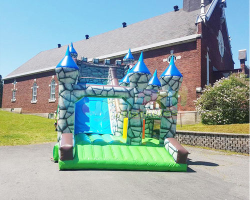 Carnival Shark Commercial Inflatable Slide Castle Bounce House