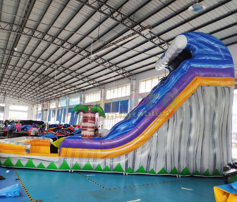 ODM Outdoor Inflatable Water Slides Palm Tree Bouncy Castle