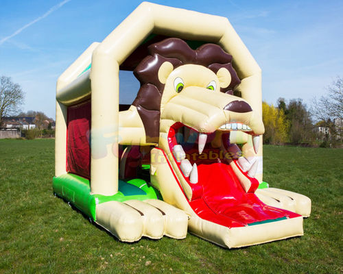 Customized Inflatable Bouncer Slide Children Bouncy Castle