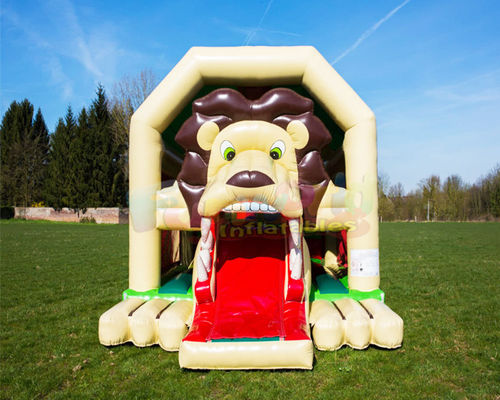 Commercial Inflatable Bouncer Slide Combo Children Jumping Castle