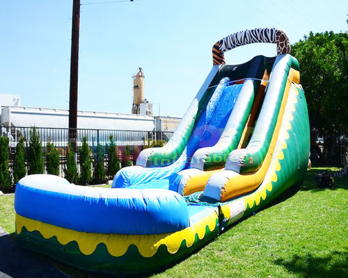 Plato Outdoor Inflatable Water Slides With Pool Jumping Bouncer House