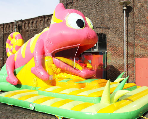 Customized Quadruple Stitching Inflatable Bounce Slide For Festival Activity