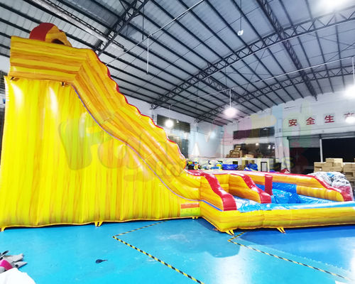 Adult Outdoor Inflatable Water Slides Playground Jumping Castle