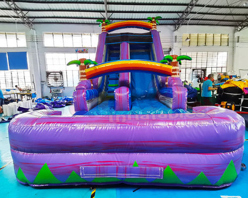 Carnival Adult Bounce House Outdoor Inflatable Water Slides