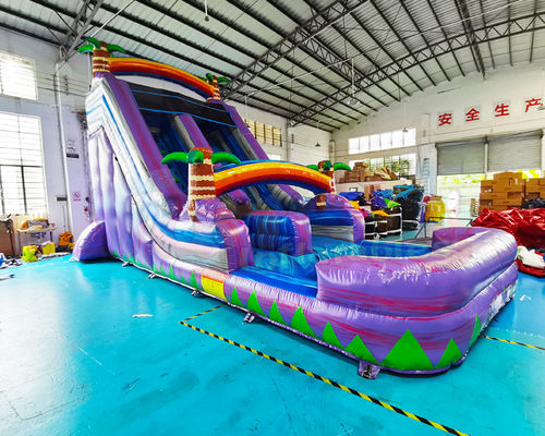 Carnival Adult Bounce House Outdoor Inflatable Water Slides