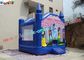 Princess Commercial Bouncy Castles