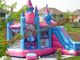 Princess Inflatable Castle / Inflatable Jumping Castle For Party