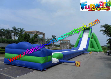 Giant Hippo Inflatable water slide , inflatable hippo pool toy