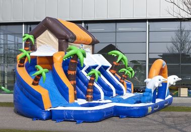 Commerial Outdoor Inflatable Water Slides Waterproof For school