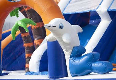 Commerial Outdoor Inflatable Water Slides Waterproof For school